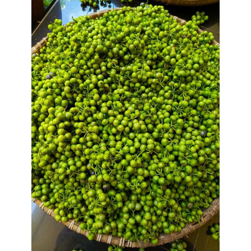 

sayur Leunca atau Lencak 1kg fress langsung petik dari kebun