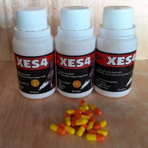 XES4 BARON MERPATI HARGA PERKAPSUL