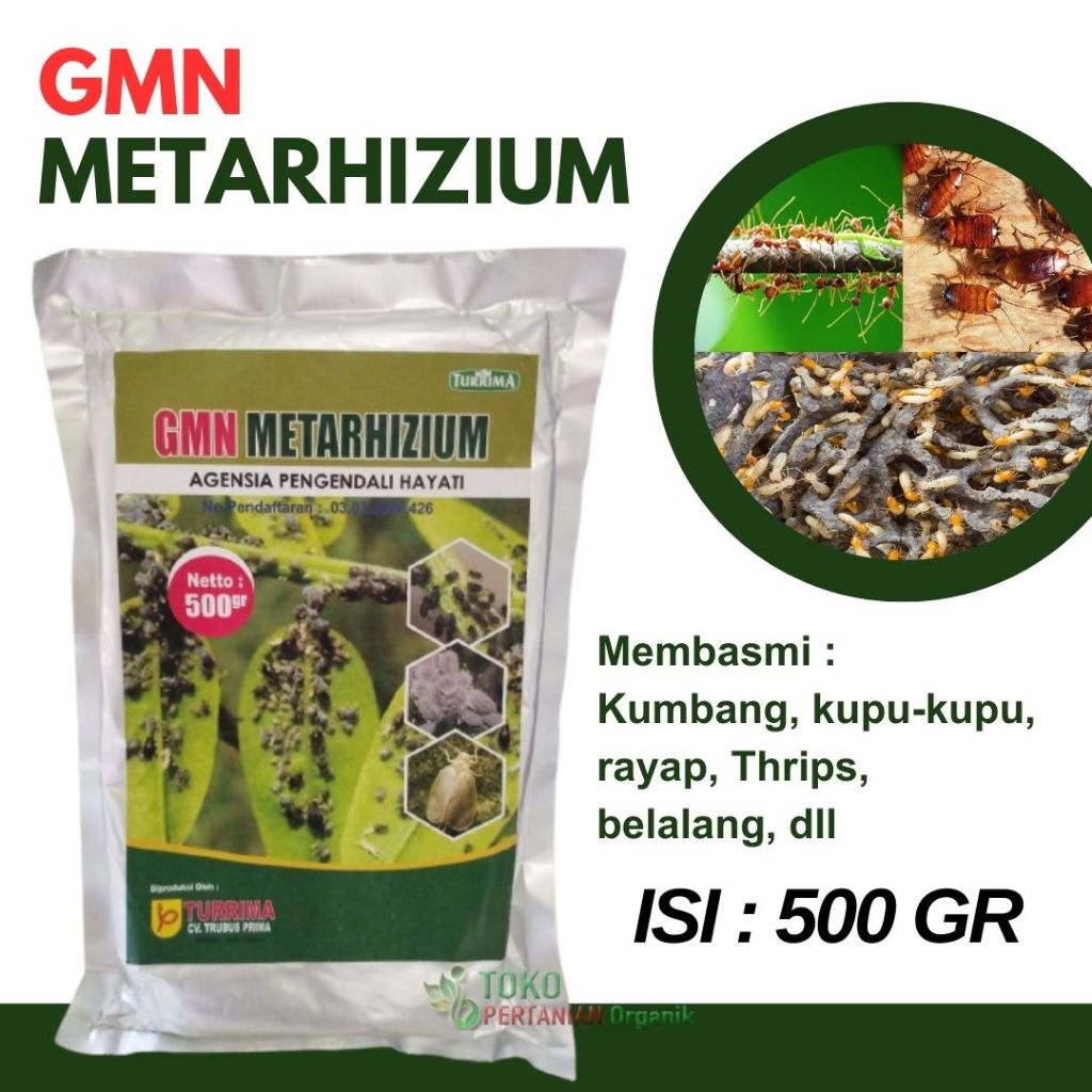 Pembasmi hama kutu putih tanaman padat METARIZIUM, Obat ampuh serbuk usir kutu putih