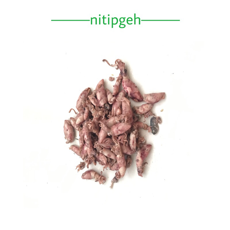 

nitipgeh Cumi Asin 250gr