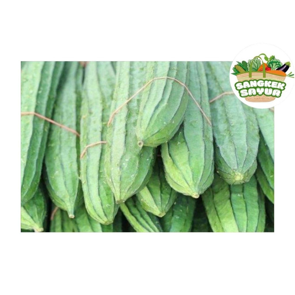 

Oyong Segar 250Gram - sangkek.sayur PALEMBANG