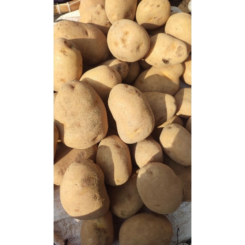 

RB Kentang Super 1 KG