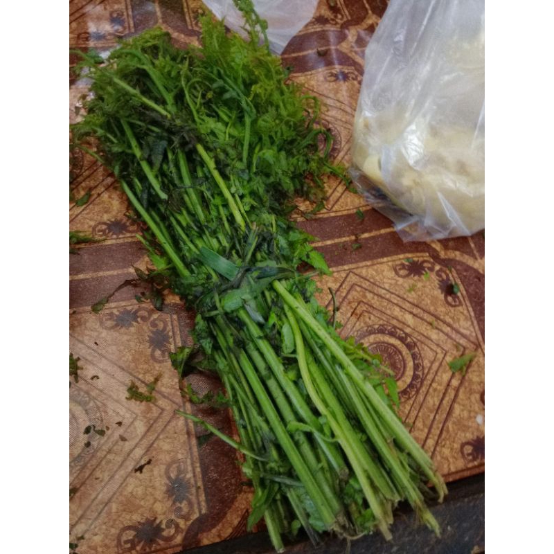 

Sayur Paku / Pakis Segar Per Ikat