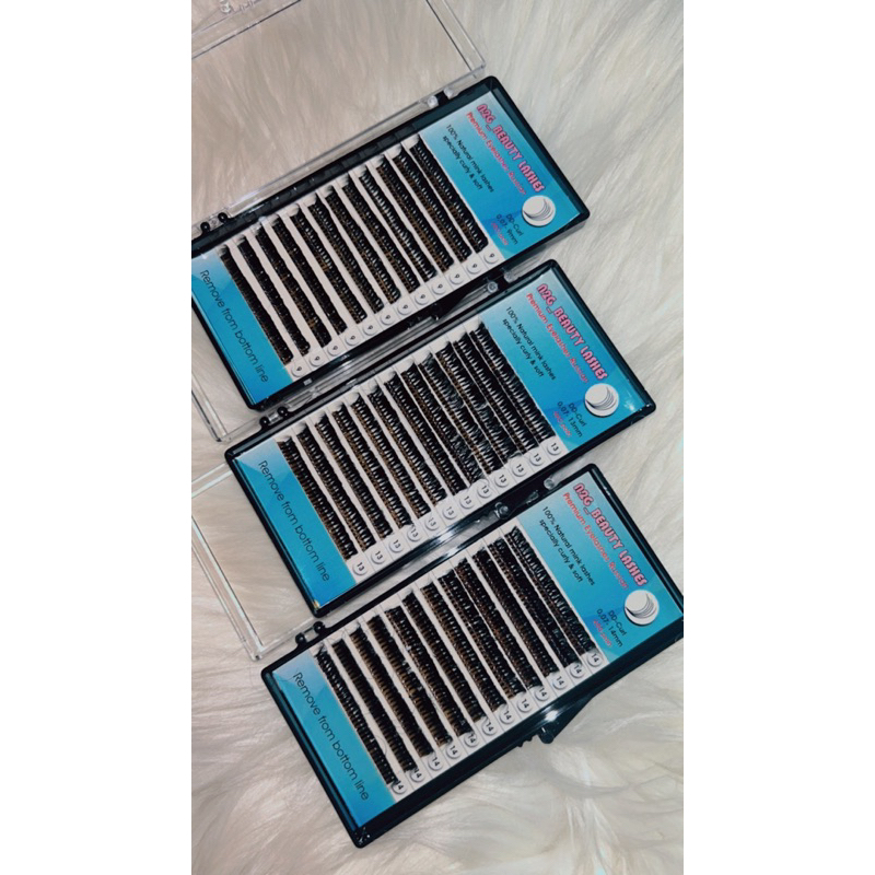 N2G_BEAUTY LASHES DD-Curl lembut