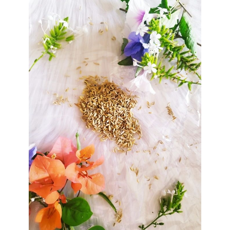 

BIJI ADAS/ADAS 100gram