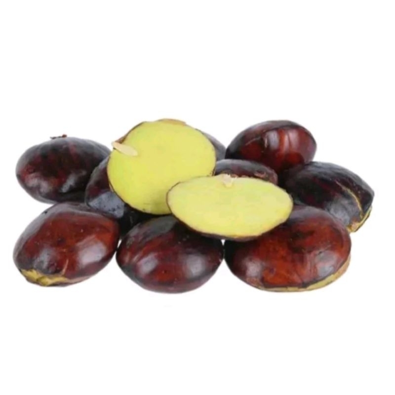 

Jengkol Tua Segar 500gram