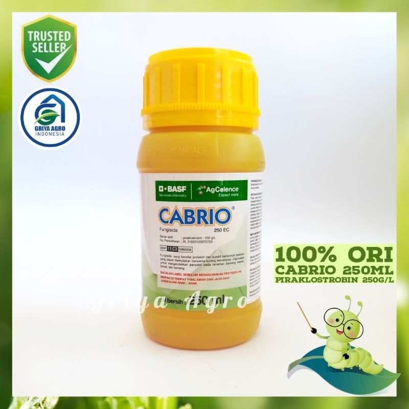 CABRIO 250EC 250ML FUNGISIDA sistemik