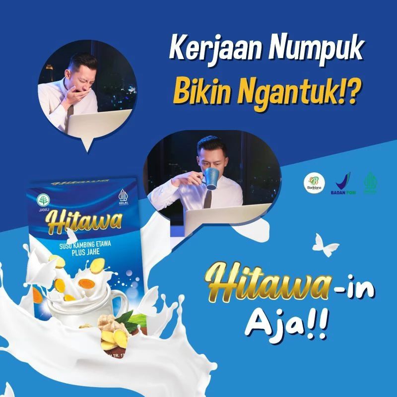 

HITAWA Susu kambing etawa tidak prengus untuk penyakit sendi dan gak mudah lelah