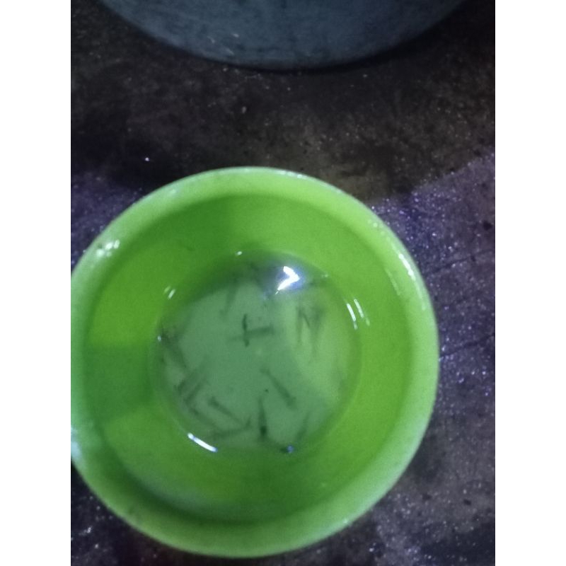 udang hidup /pakan ikan udang rawa