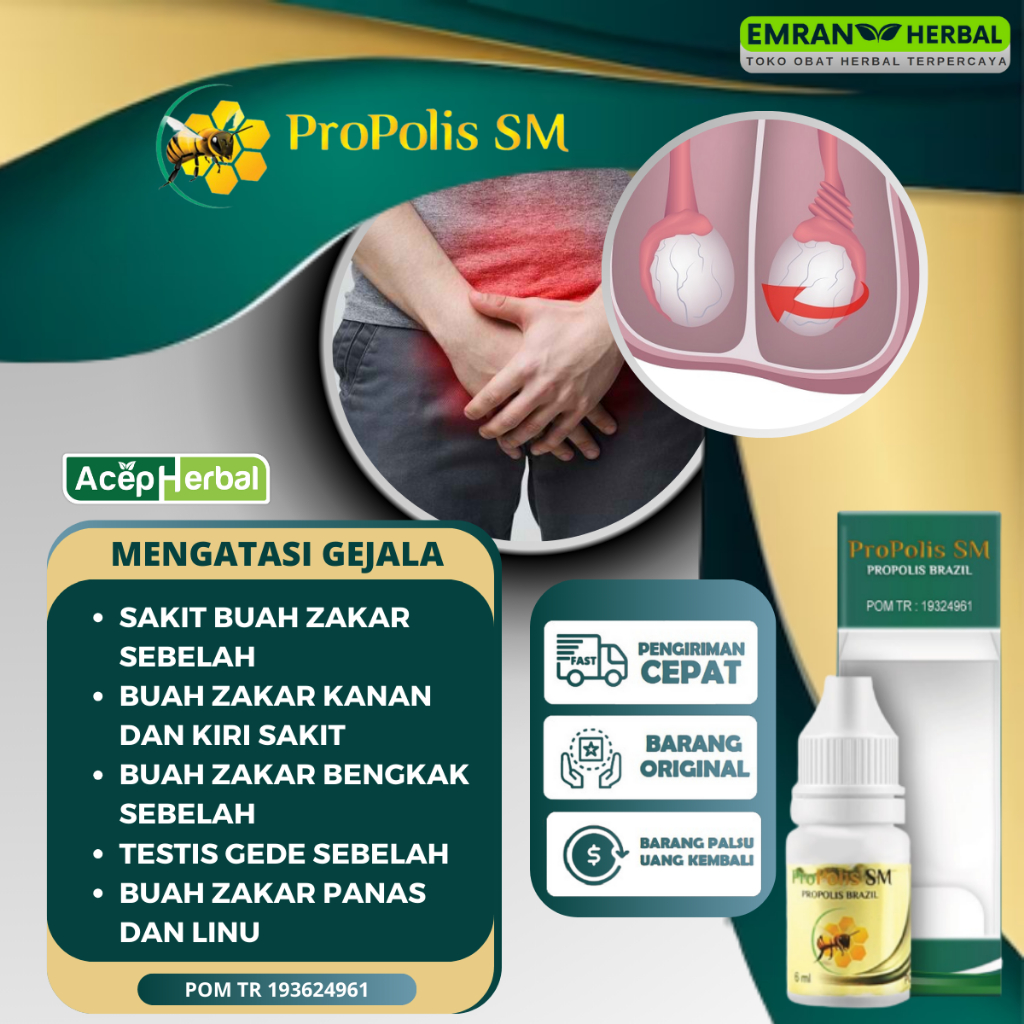 Obat Sakit Buah Zakar, Buah Zakar Sakit Sebelah, Buah Zakar Bengkak Sebelah, Testis Gede Sebelah, Bu