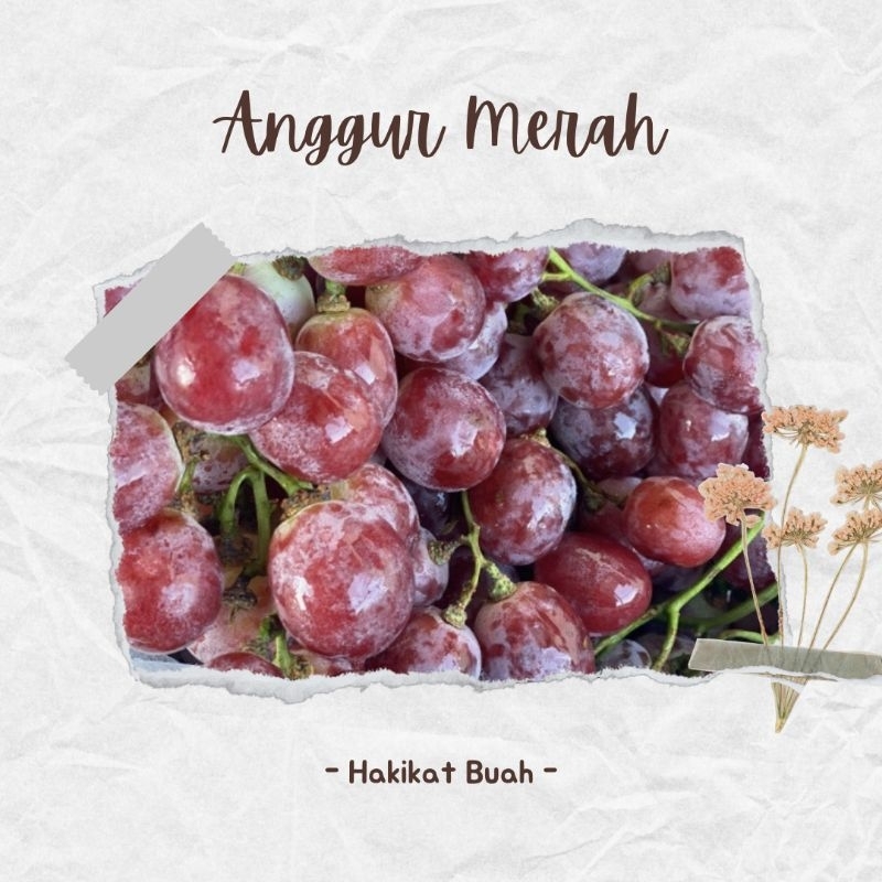 

Anggur Red Import Manis / Grape