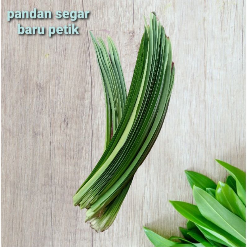 

Daun Pandan Segar