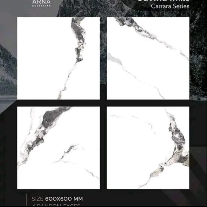 Granit Lantai Arna 60x60 savina white