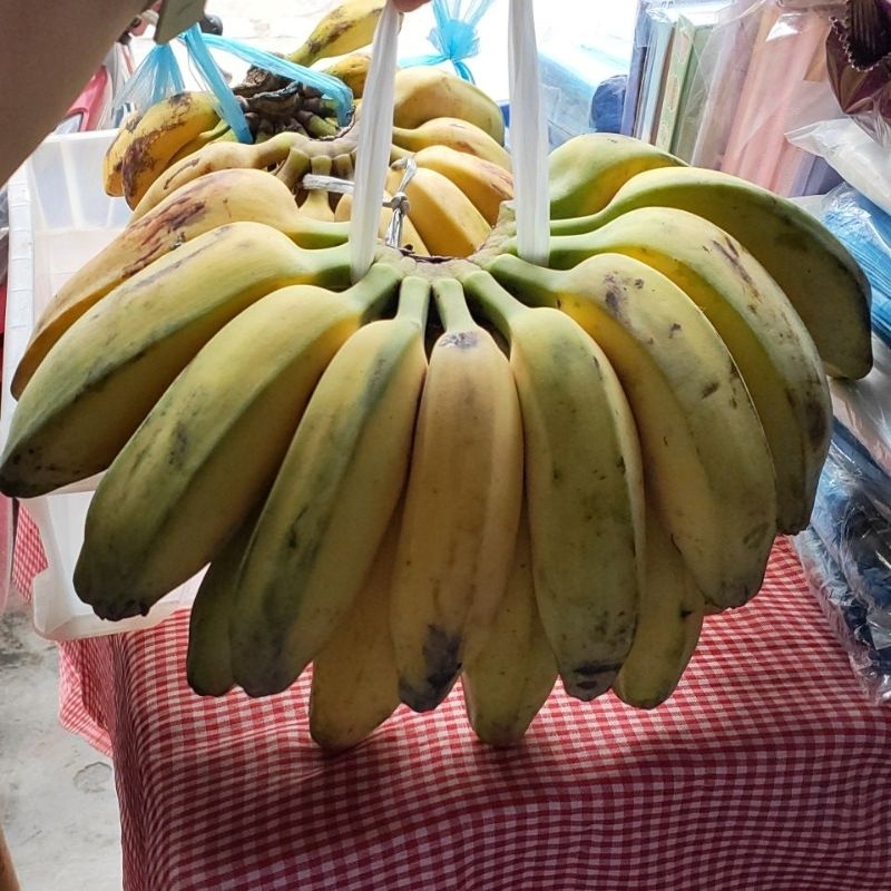 

pisang kepok KUNING jumbo