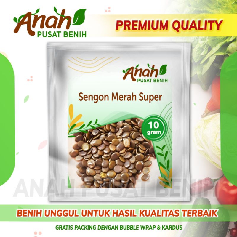 10 gram benih sengon merah super /  Biji Bibit sengon merah / Anah pusat benih
