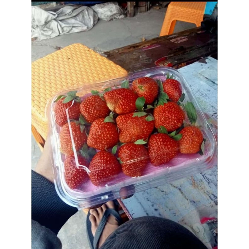 

Buah strawberry Bandung kemasan 1kg