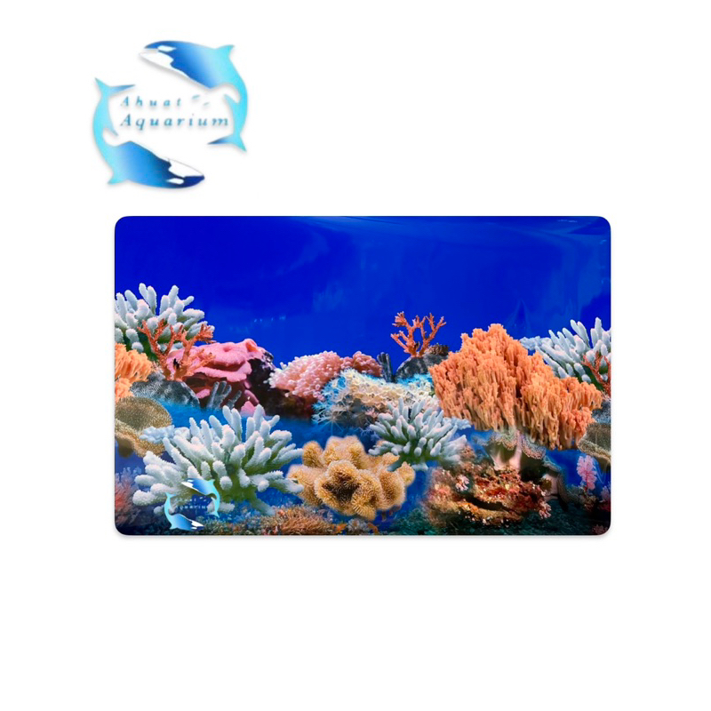 WALLPAPER AQUARIUM 3D CORAL UKURAN 60CM PERMETER 2 GAMBAR DALAM 1 WALLPAPER BACKGROUND AQUARIUM