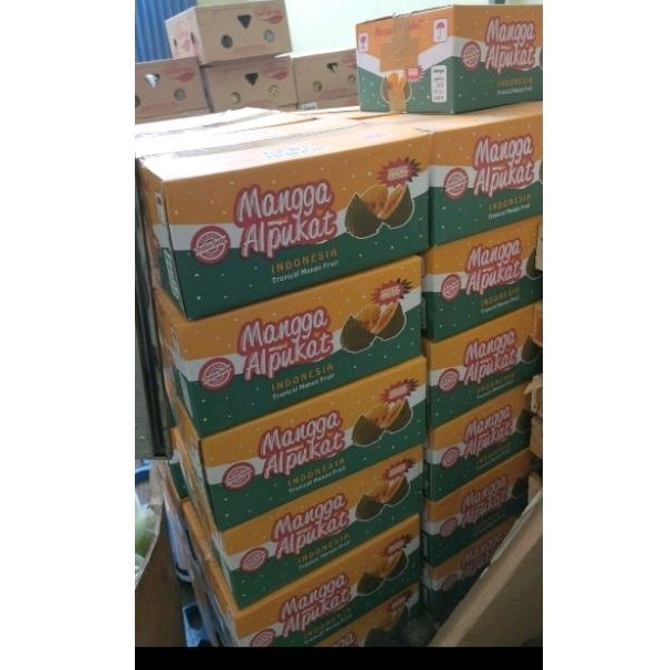 

mangga alpukat perdus