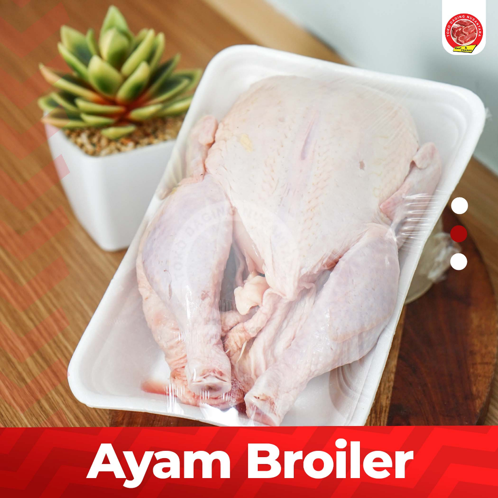 

AYAM BROILER FRESH UKURAN (0.8 SAMPAI 0.9)