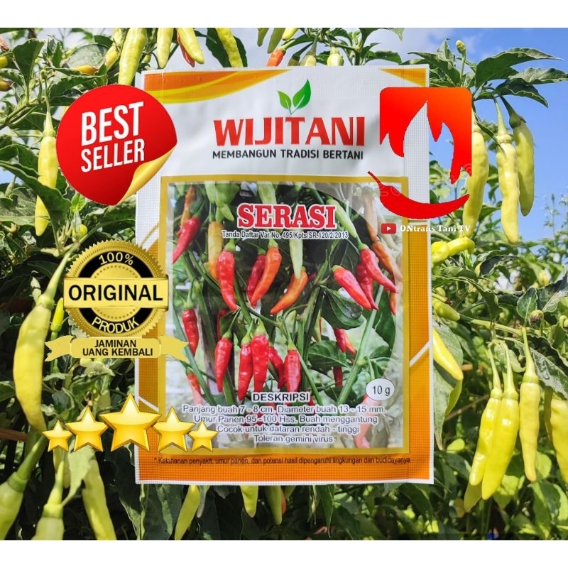 benih cabai rawit SERASI 10gr dari wijitani