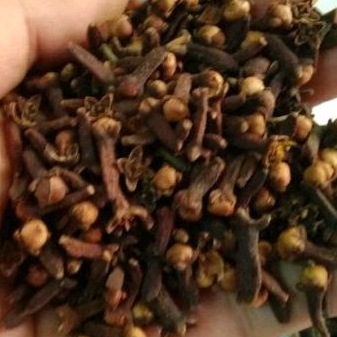 

Cengkeh /Bumbu Masakan Nusantara 100gr