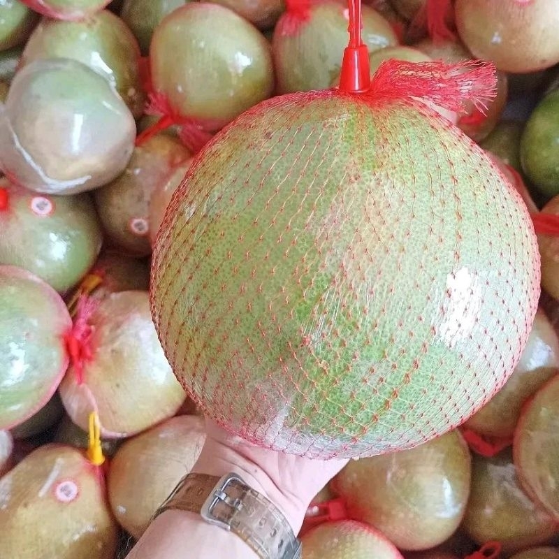 

Pomelo Kudus 1 buah
