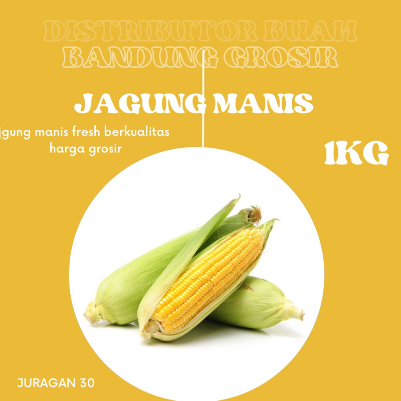 

JAGUNG MANIS FRESH