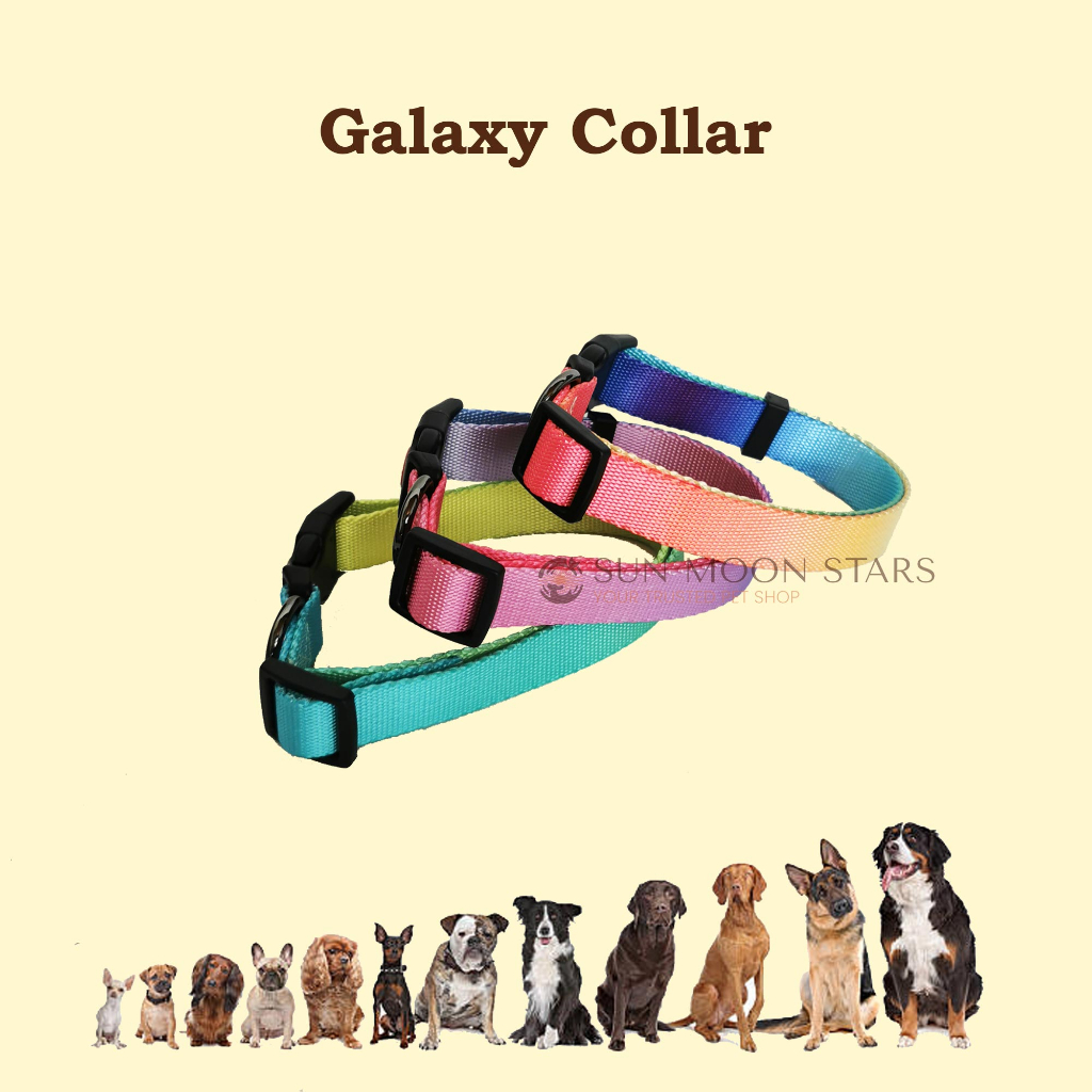 CUCI GUDANG Dog Collar cat collar anjing collar anjing kecil collar anjing besar kalung anjing kalun