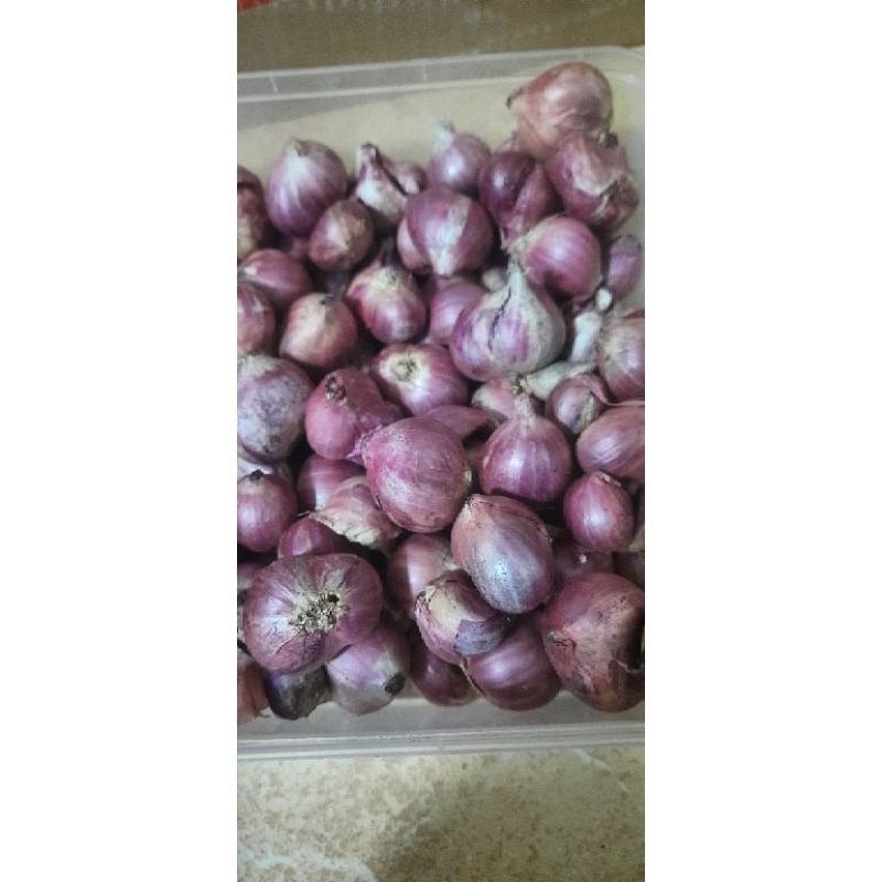 

Bawang merah campur tanggung 1000gram (satu kilo)