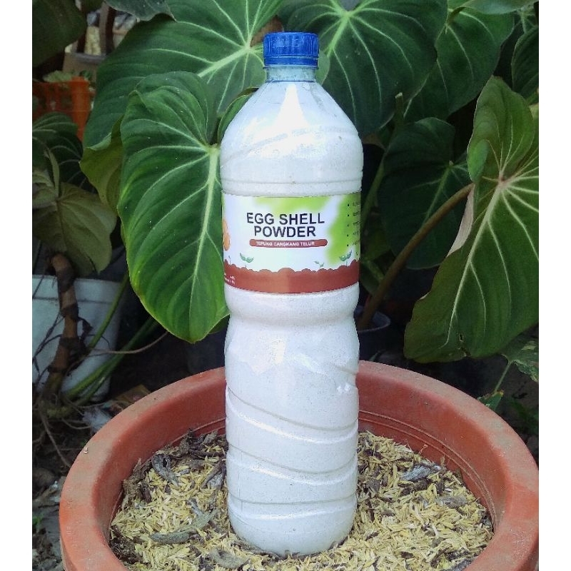 

serbuk cangkang telur 1kg