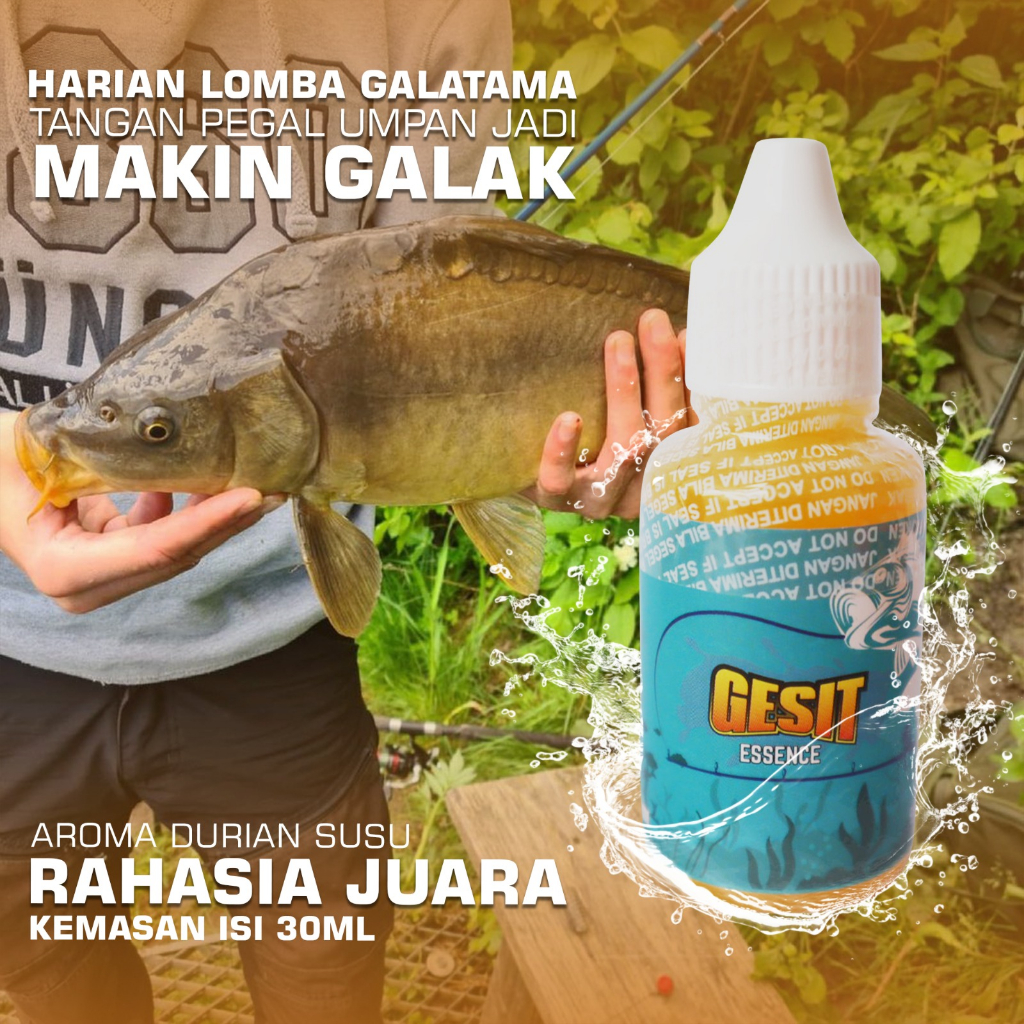 ( UMPAN ESSEN TERBAIK ) essen ikan mas durian cimpedak madu essen ikan mas paling gacor siang maupun