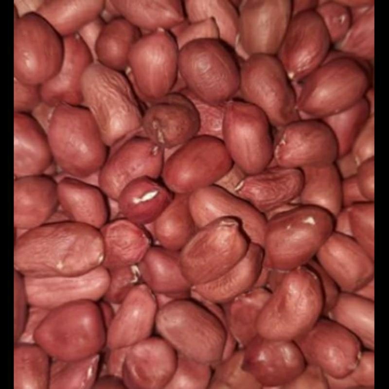 

Kacang tanah kulit ari 1kg//kacang tanah kupas isi merah super