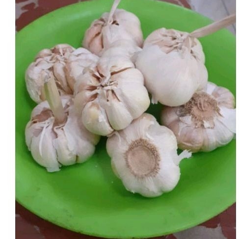 

Bawang putih