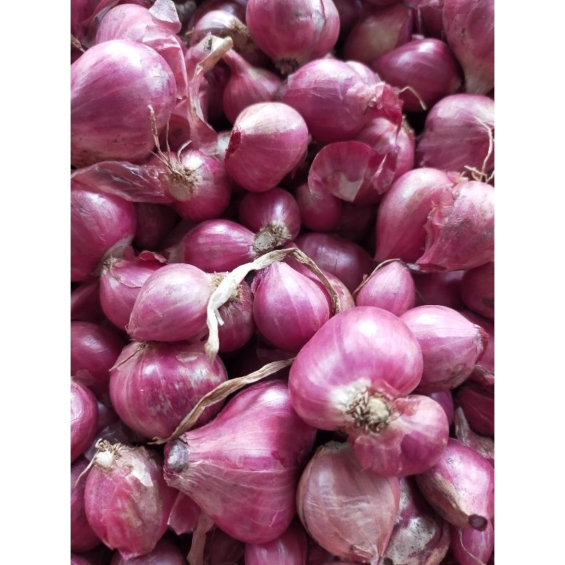 

Bawang Merah Lokal Superan kering 1Kg