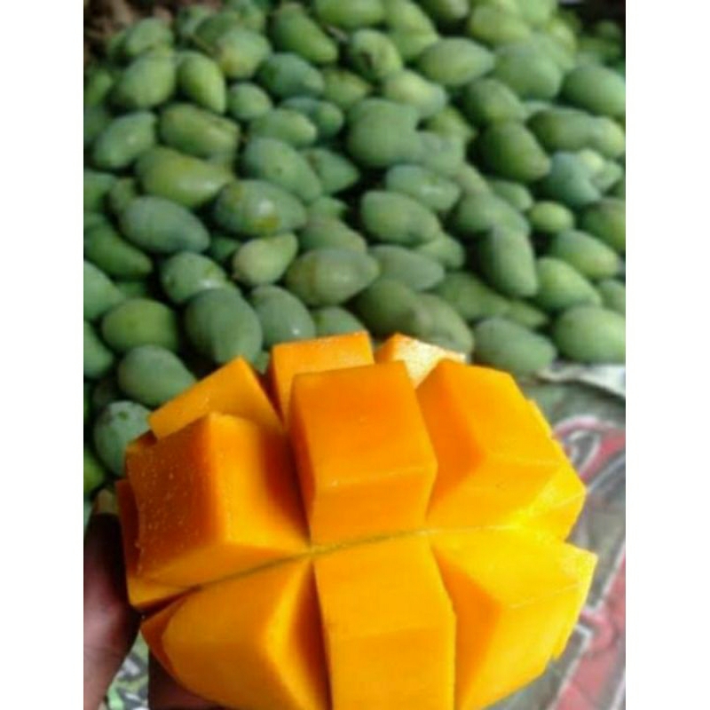 

mangga arumanis manis segar 1kg
