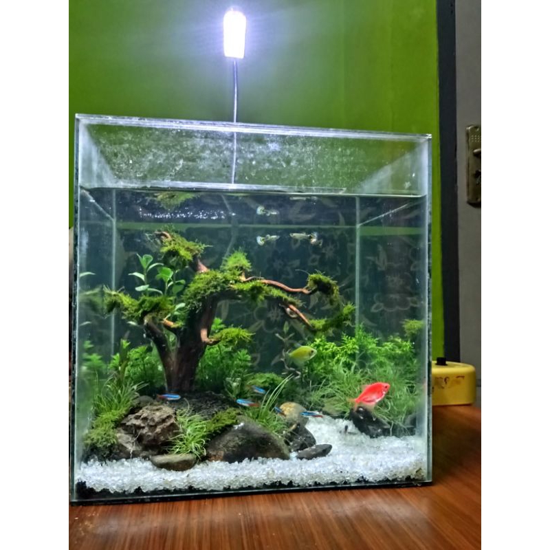mini aquascape fullset