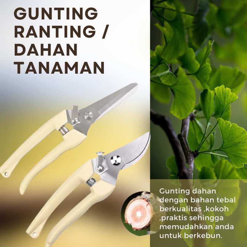 Gunting dahan atau ranting tanaman Gunting Ranting Daun Tanaman Super Tajam Peralatan Berkebun Gunti