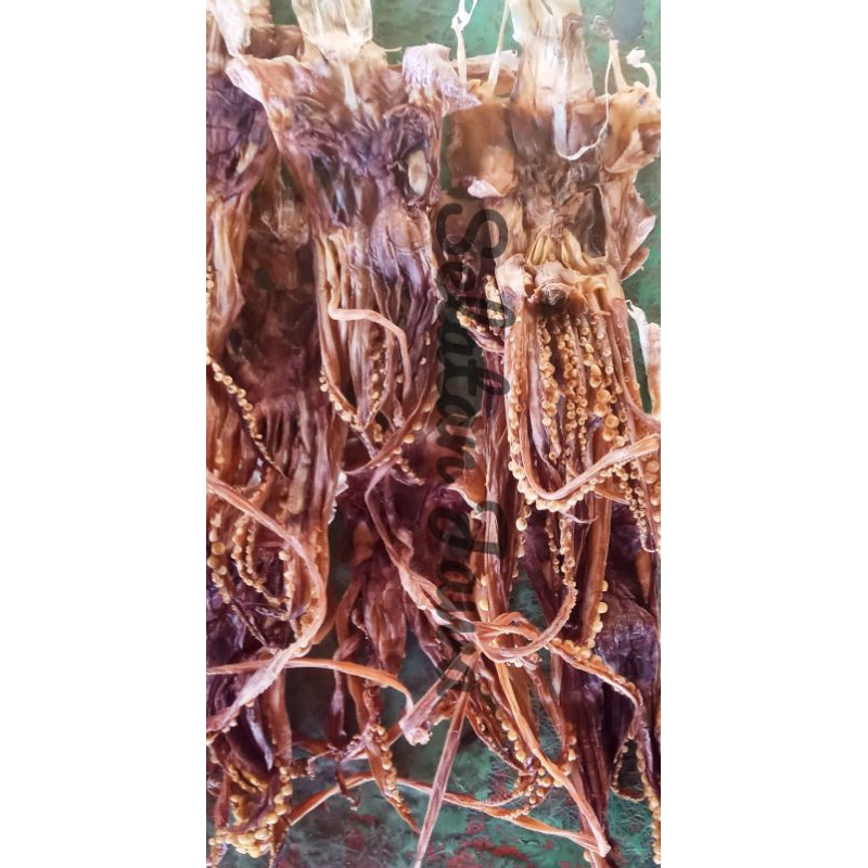 

1 Kg Kepala Juhi Tawar Khas Cilacap