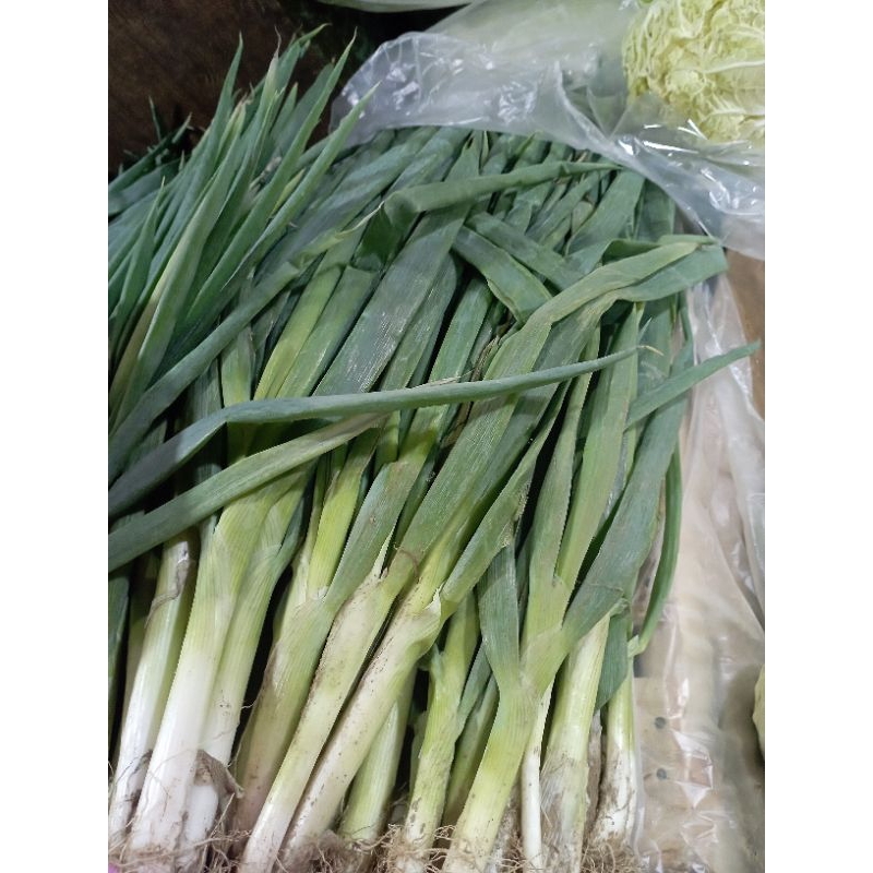 

daun bawang 500gr