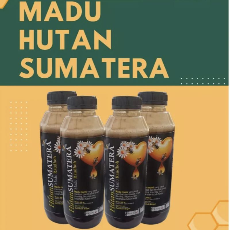

[ Madu Hutan Sumatra 600 ML ] Madu Hutan 100% Madu Murni
