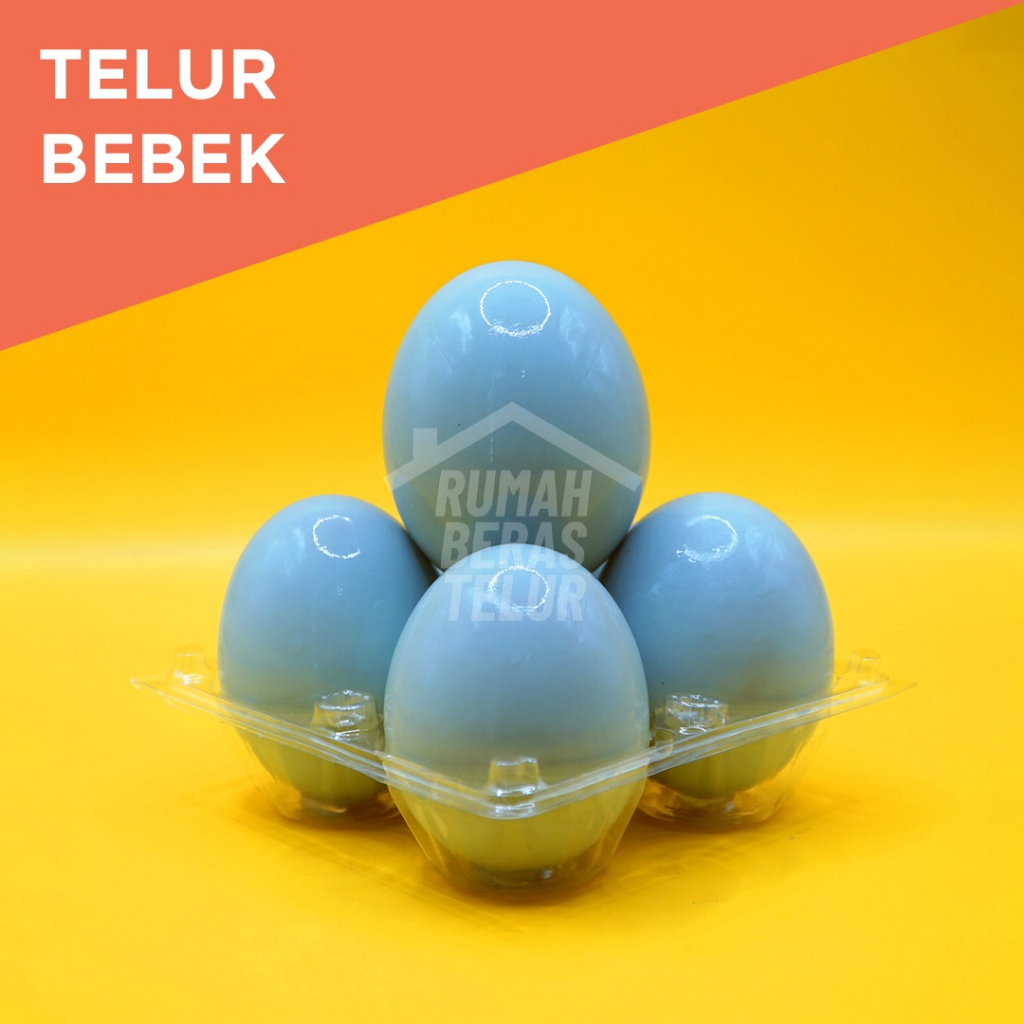 

TELUR BEBEK OMEGA FRESH/ 4 BUTIR