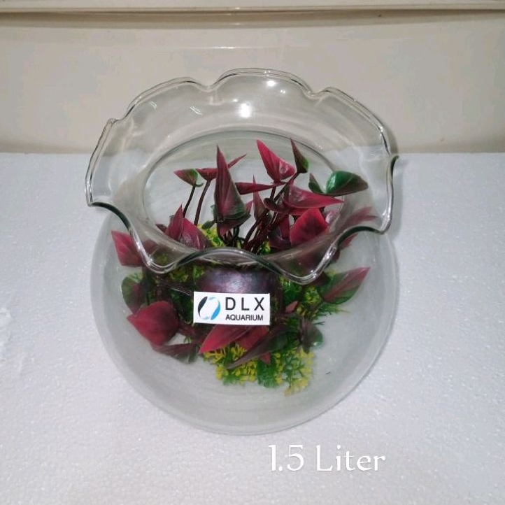 Fish Bowl / Akuarium / Aquarium Bulet Toples DLX Shella