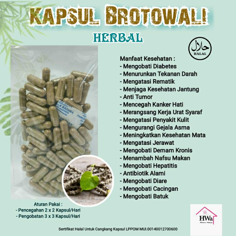 

Kapsul Brotowali Herbal isi 100 Kapsul