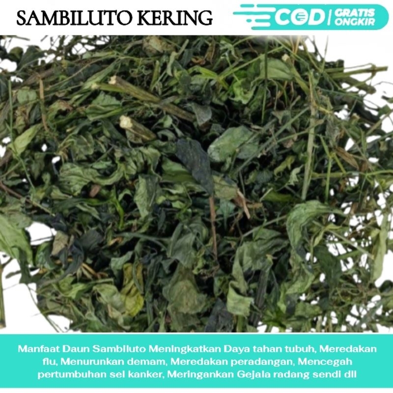 

RL SAMBILUTO/SAMBIROTO KERING 1KG