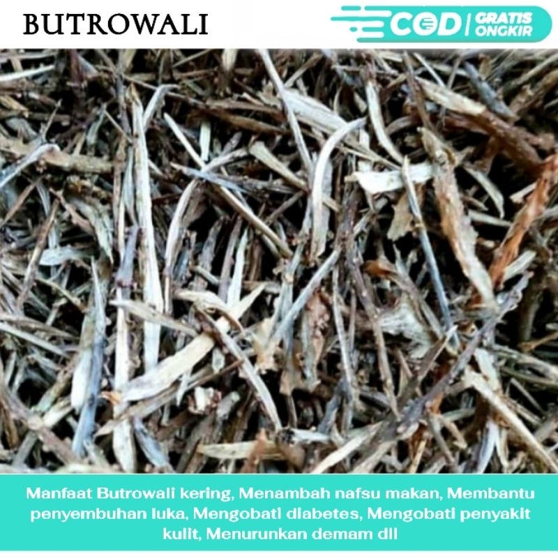 

RL Brutowali kering 1kg
