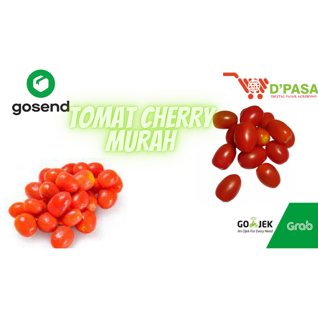 

KIRIM INSTAN Tomat Cherry 100gr