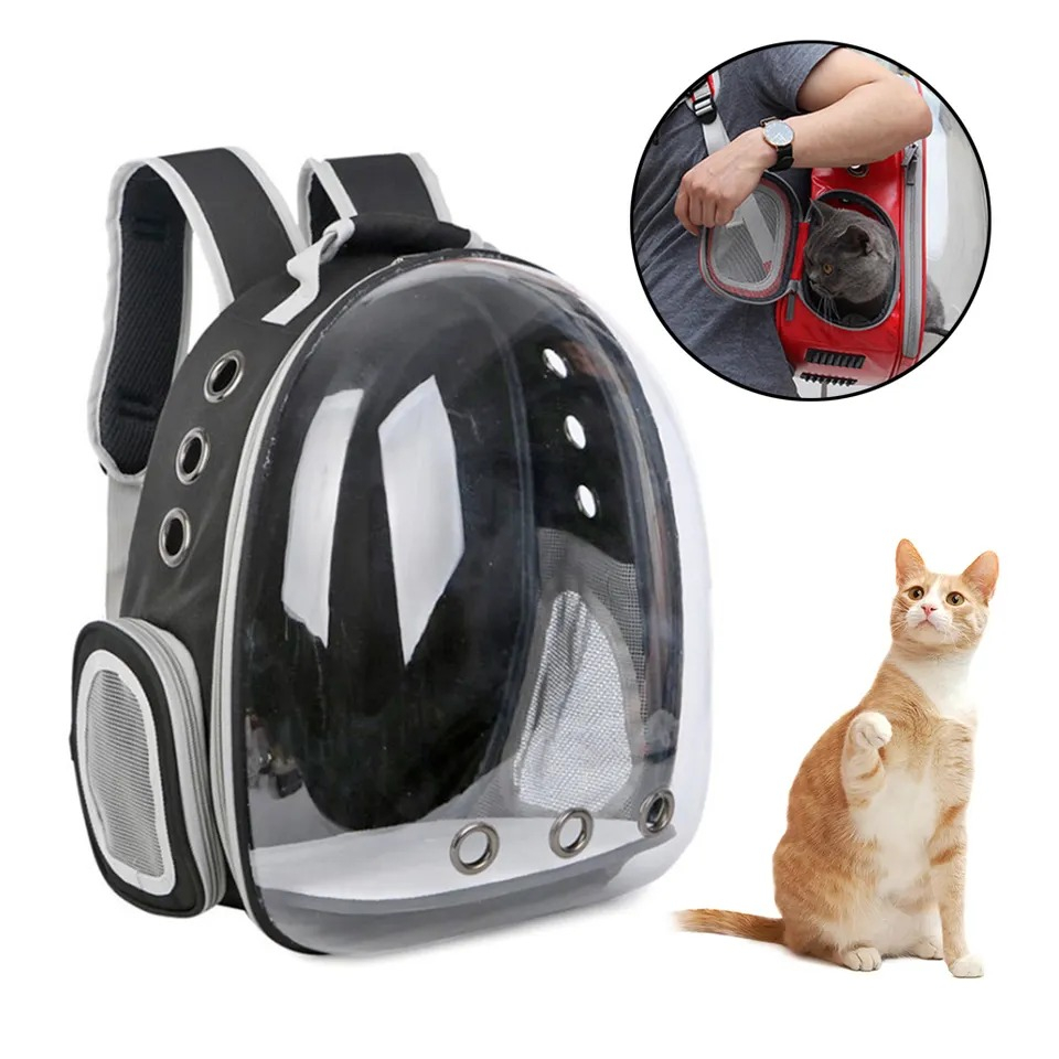 Tas Astronot Kucing Anjing Tas Transparan Pet Cargo Tas Ransel Jaring Transparan Anjing Kucing Kelin