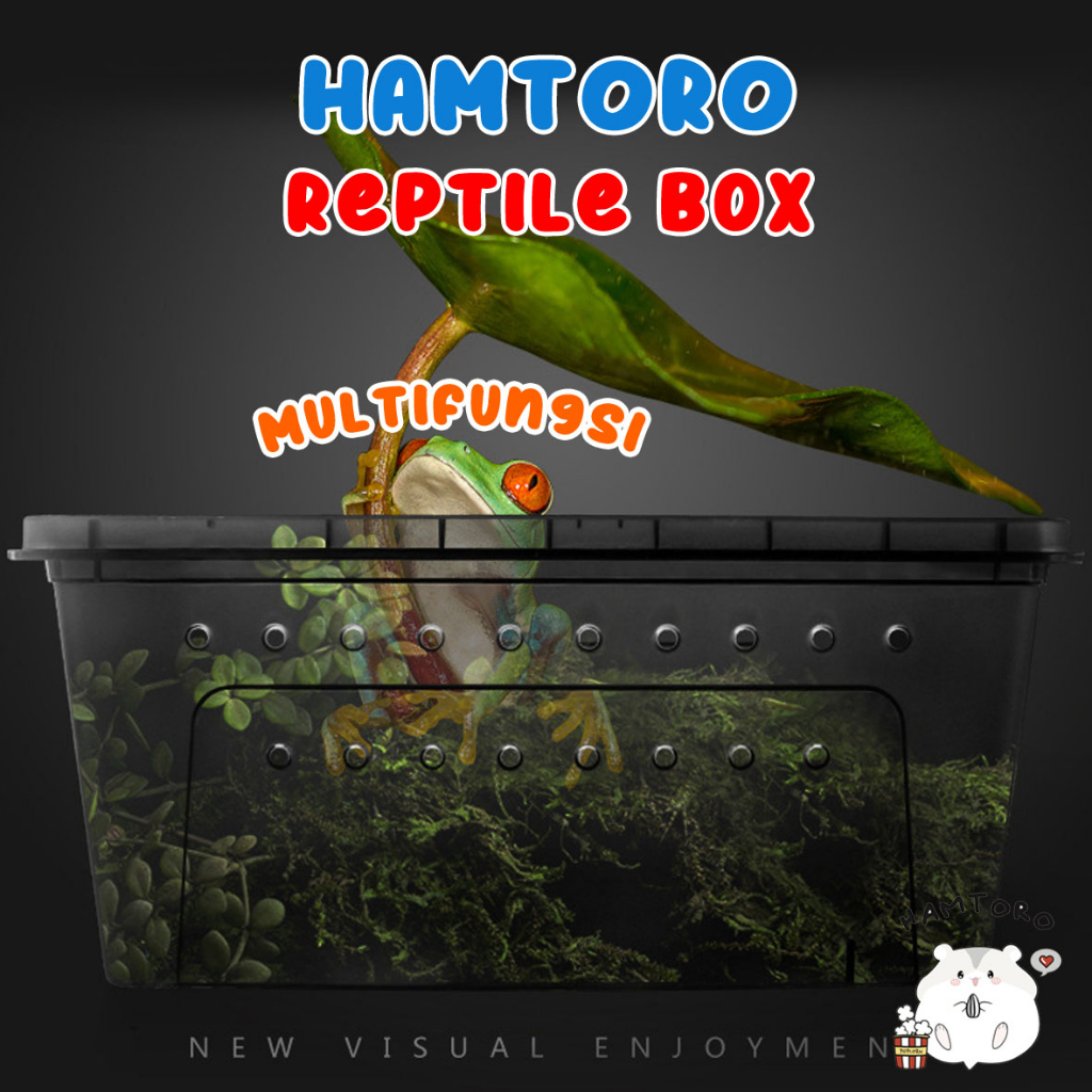 Hamtoro Gecko Box Kandang Besar Feeding Hamster/Reptil/Gecko