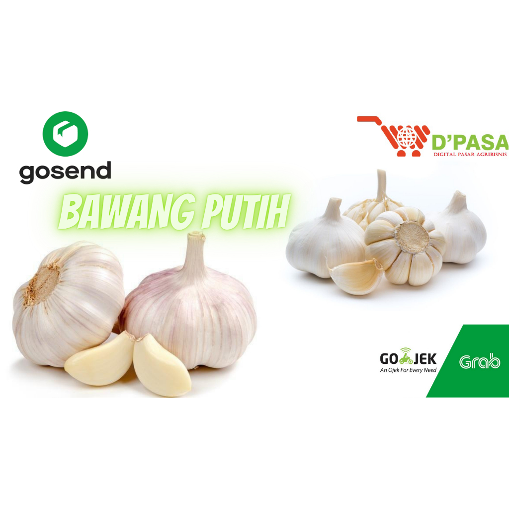 

KIRIM INSTAN Bawang Putih 500gr Sayur Segar Dpasa Padang