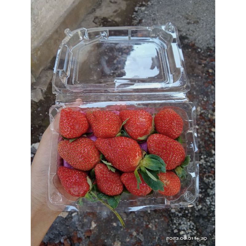 

Strawberry